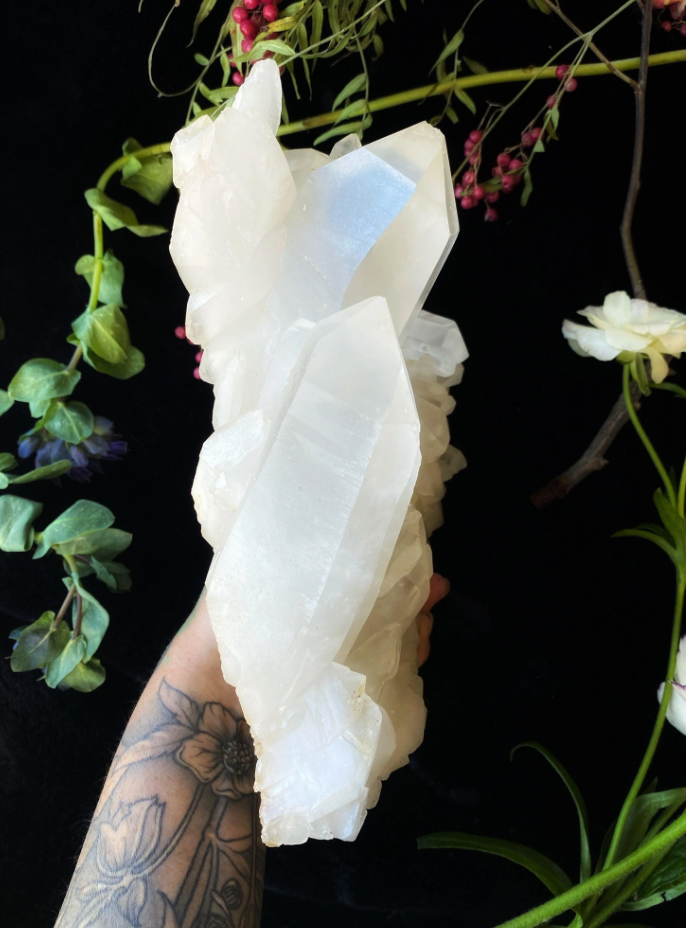 Himalayan Clear Quartz on Matrix XL - 5.8LBS A++ GRADE natural specimen by Keven