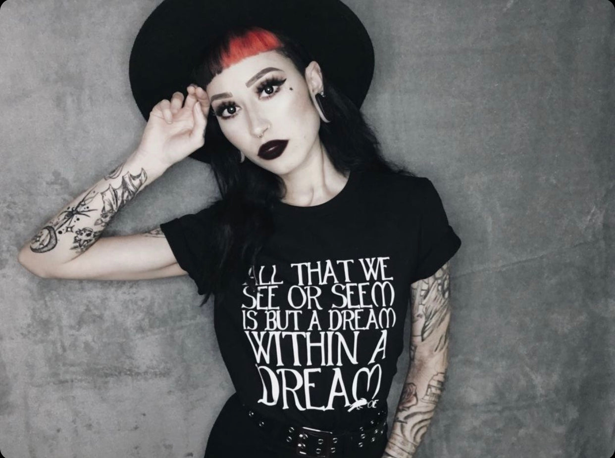 All That We See Or Seem, Is But A Dream Within A Dream Poe Quote T-Shirt