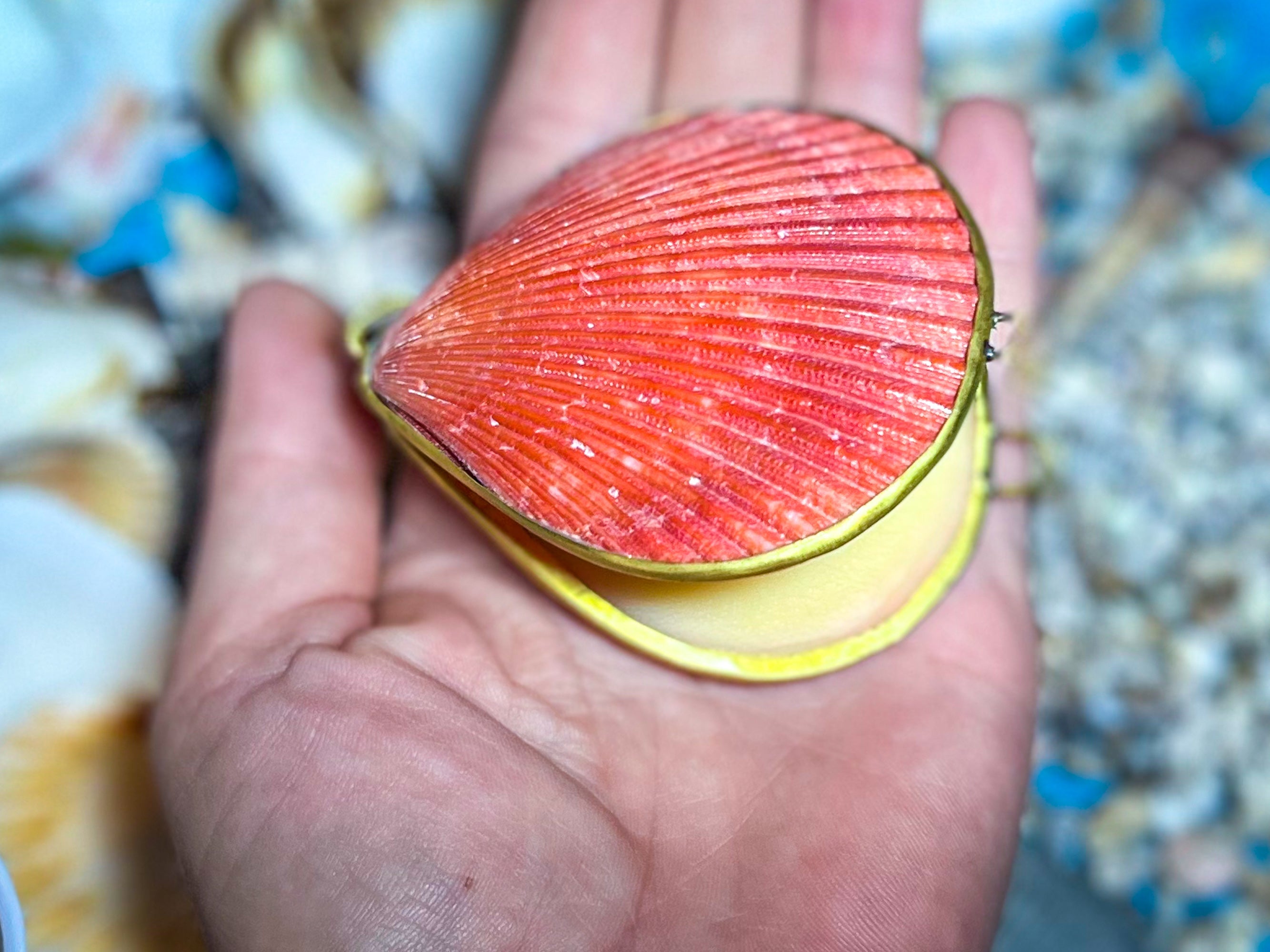 CREATRIX Solid Perfume, Botanical Natural Perfume in A Seashell Compact
