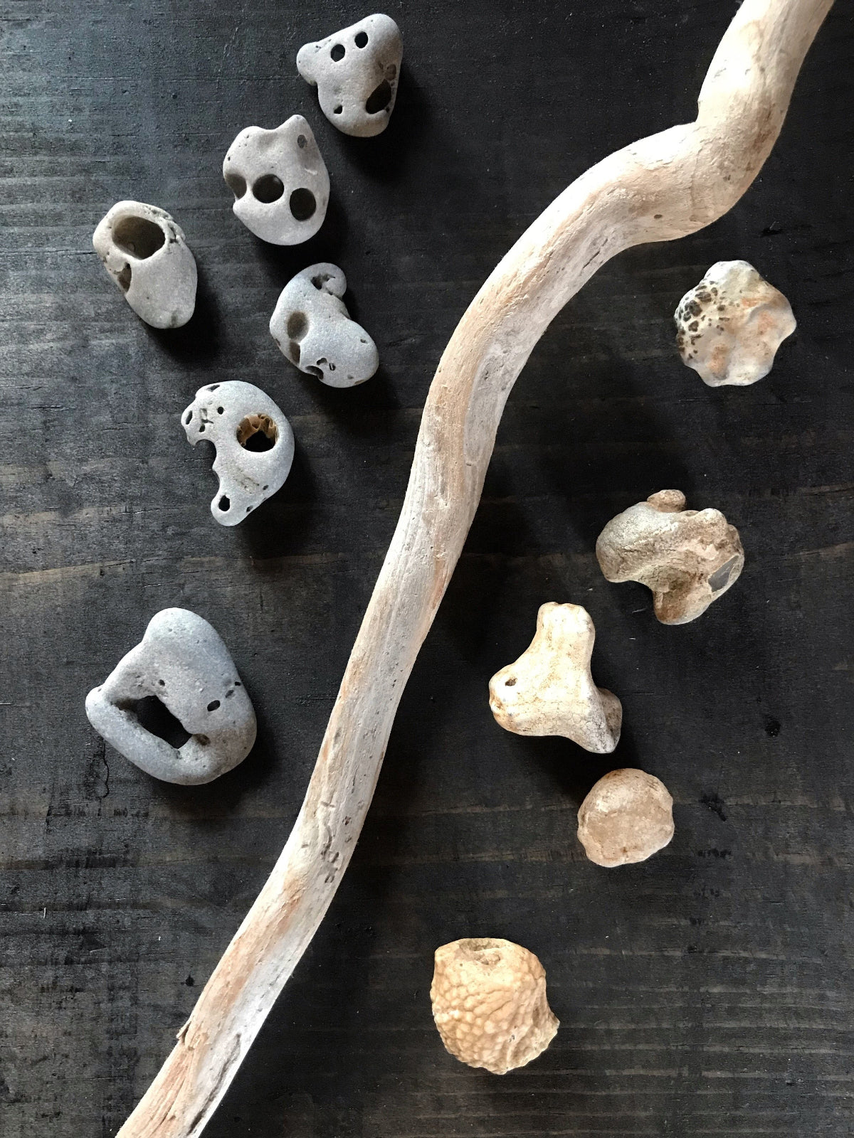 natural hole Hag Stone sourced form the USA - Keven Craft Rituals