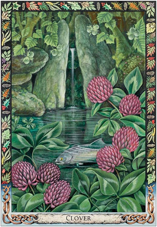 Druid Plant Oracle: Cards and Guidebook