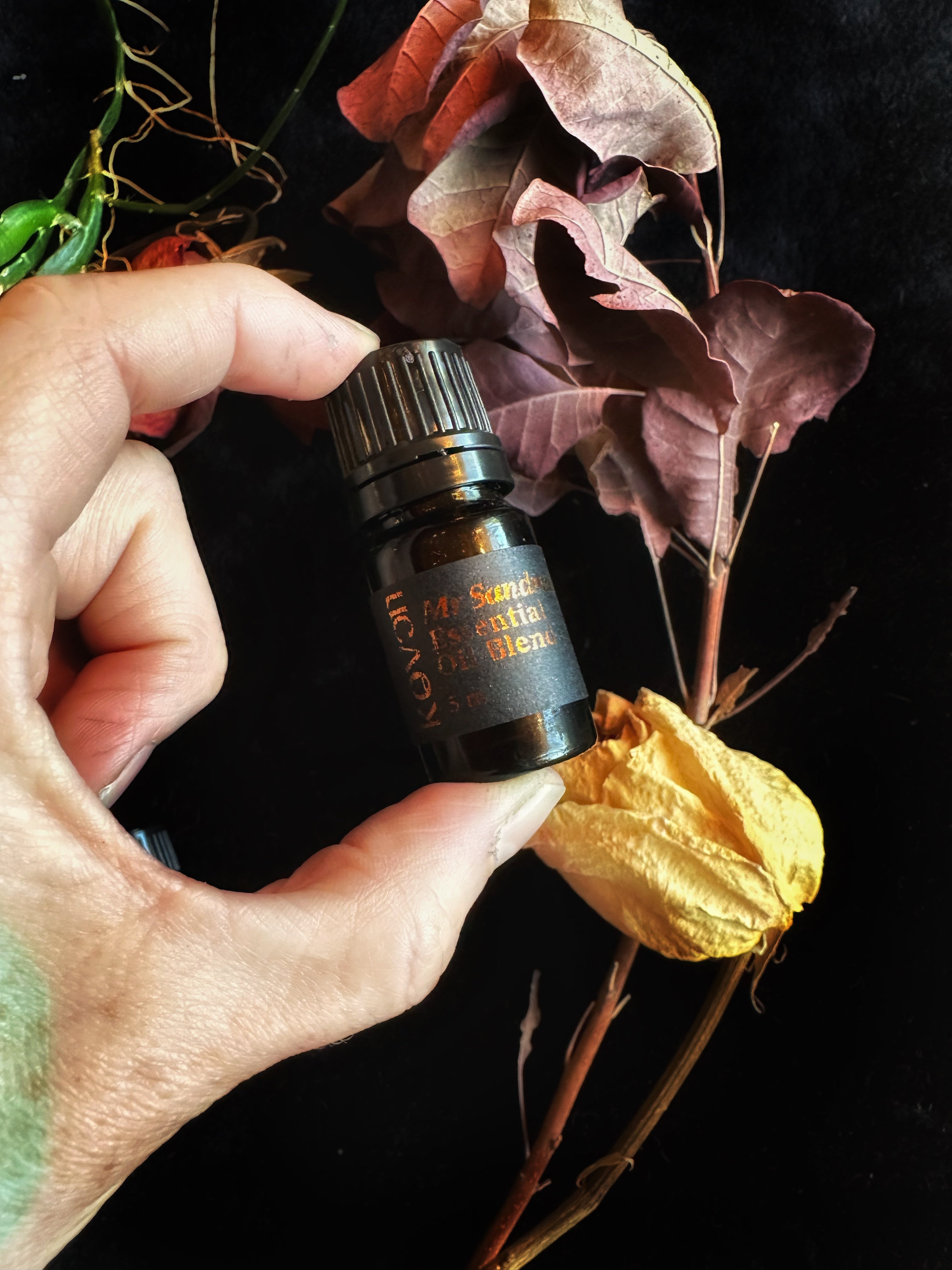 Mr Sandman : Signature Essential Oil Blend - For Diffusers, Anointing, & Spellwork