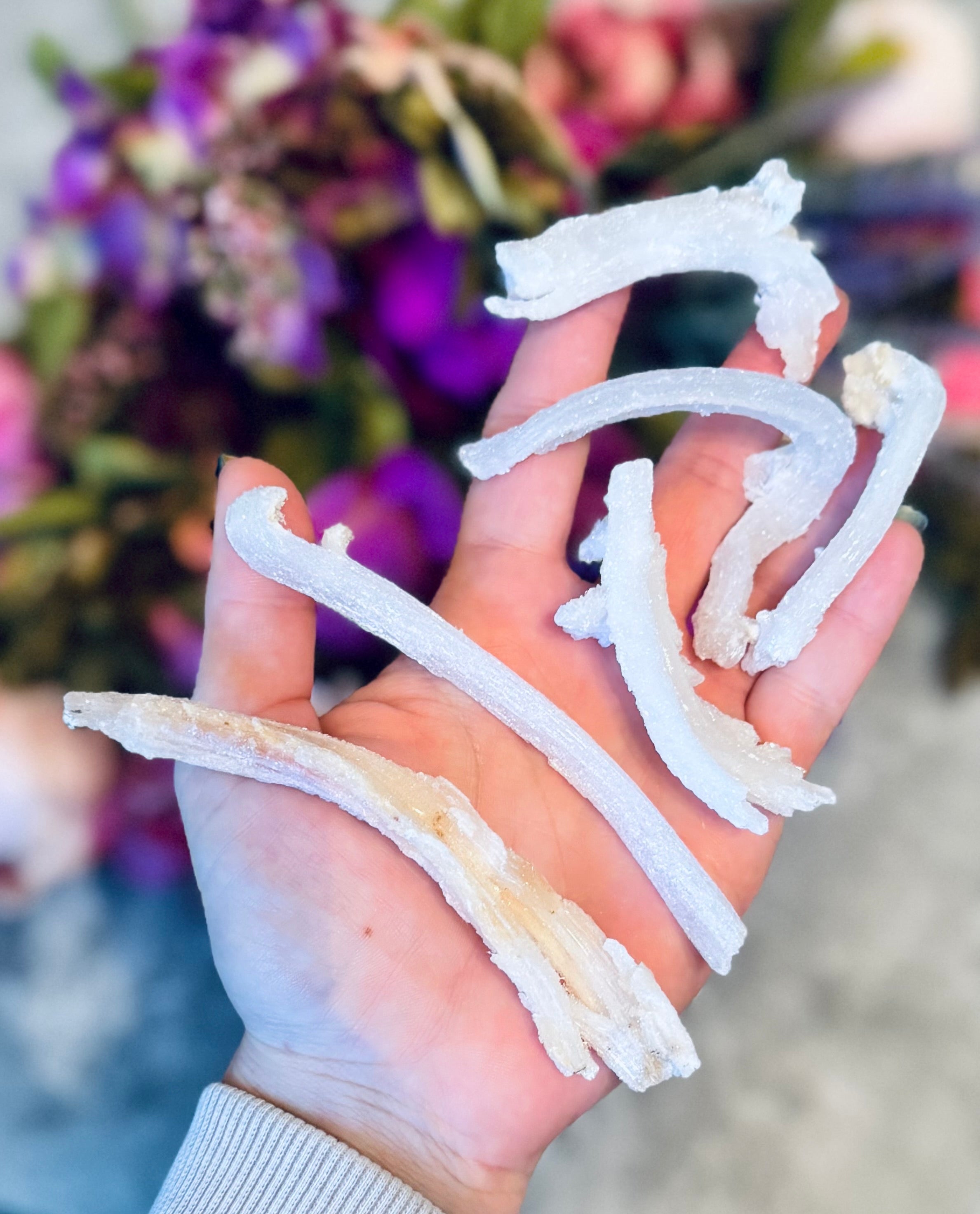 Ram's Horn Selenite, Rare Mineral Specimen