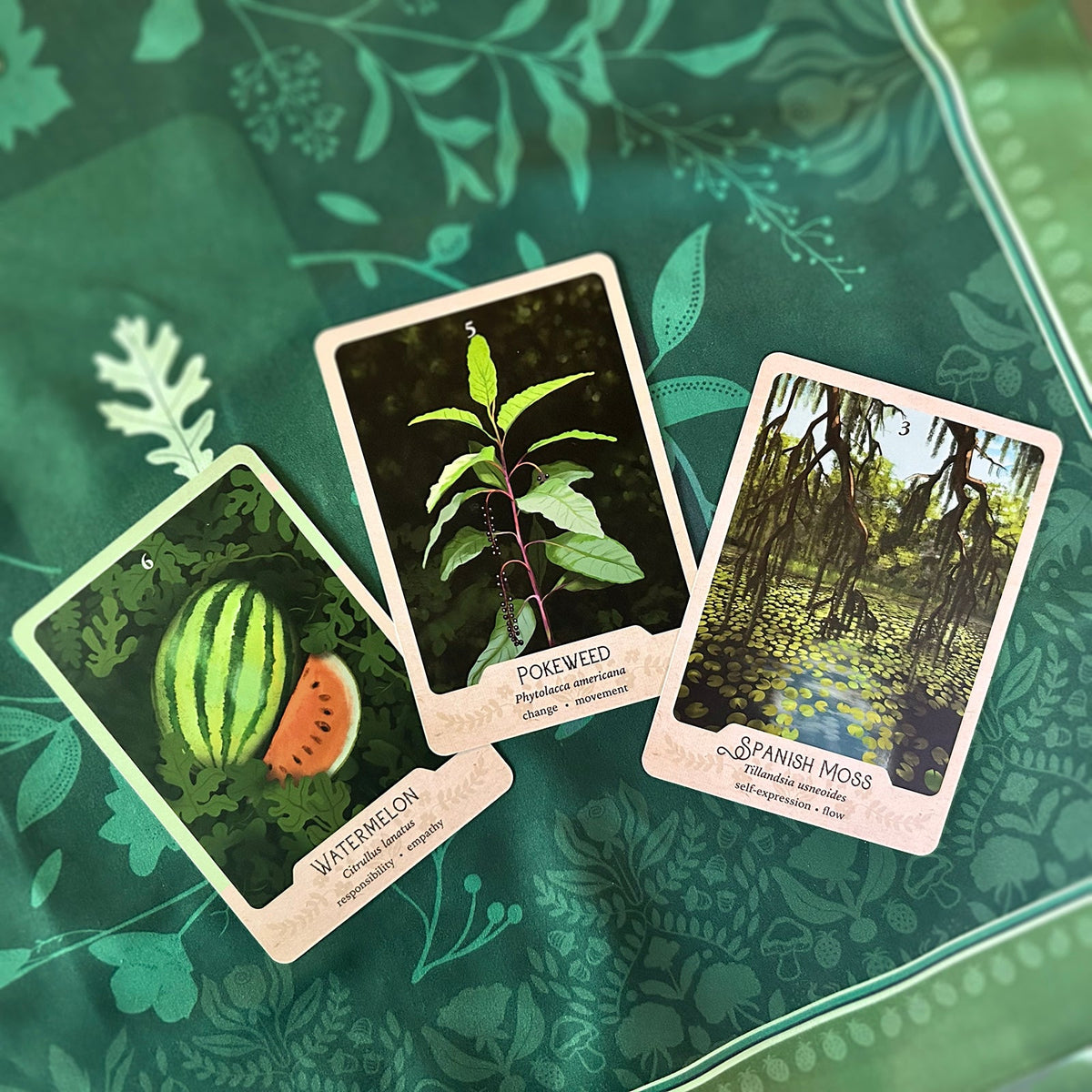 SBO_3_cards_tabletop.jpg?v=1753035126&width=2048