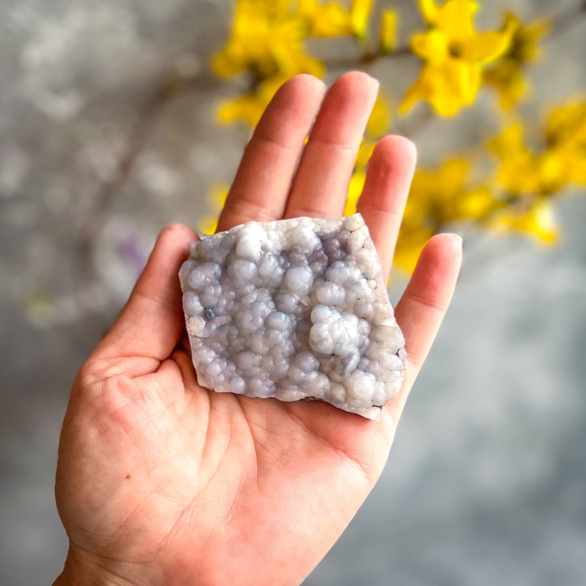 Raw Blue Chalcedony Specimens