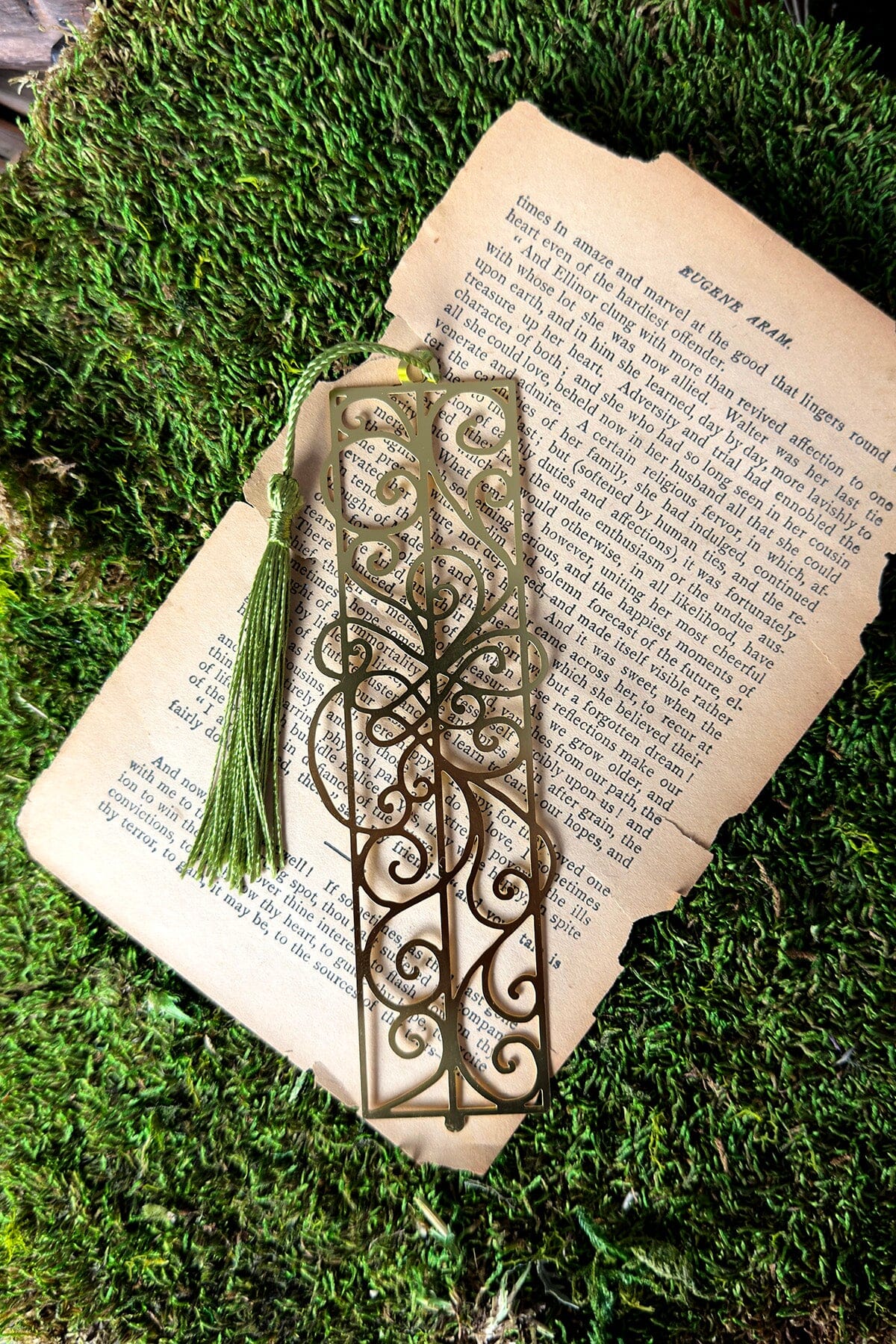Bookmark of Many Paths
