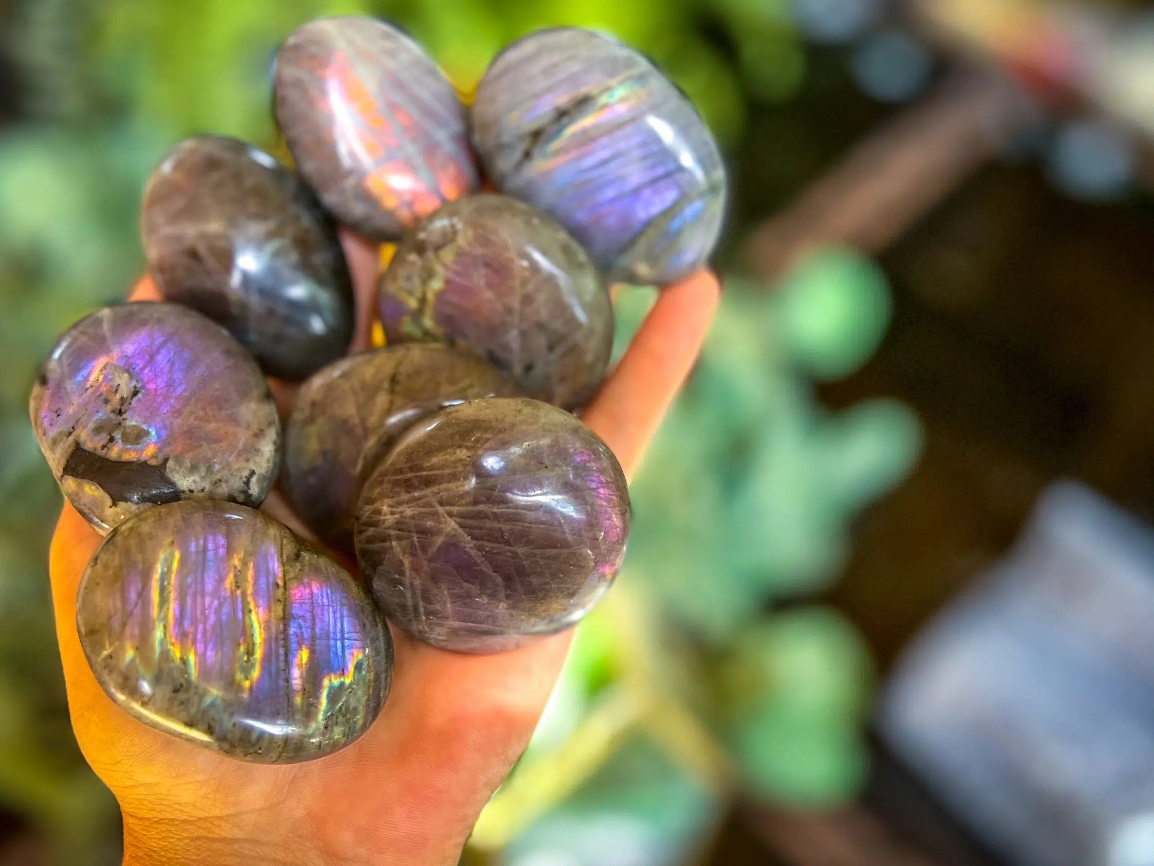 Purple Flash Labradorite - Palm Stones