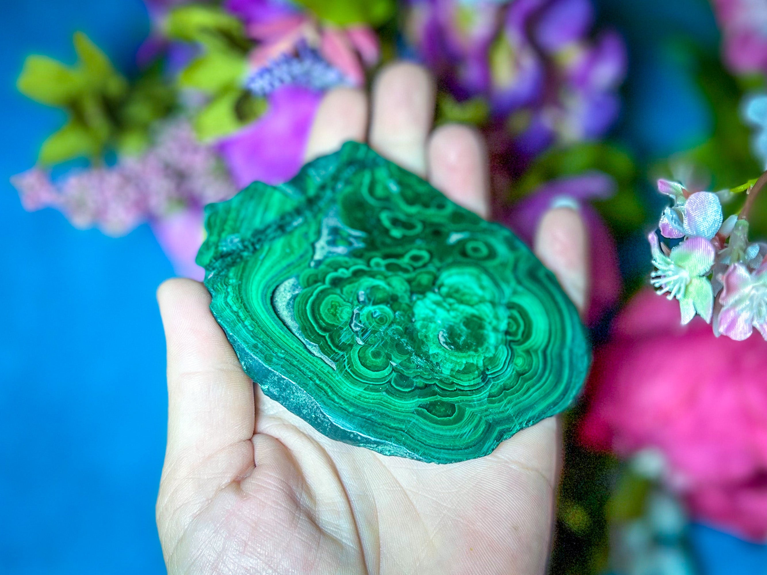Polished Orbicular Malachite Slice