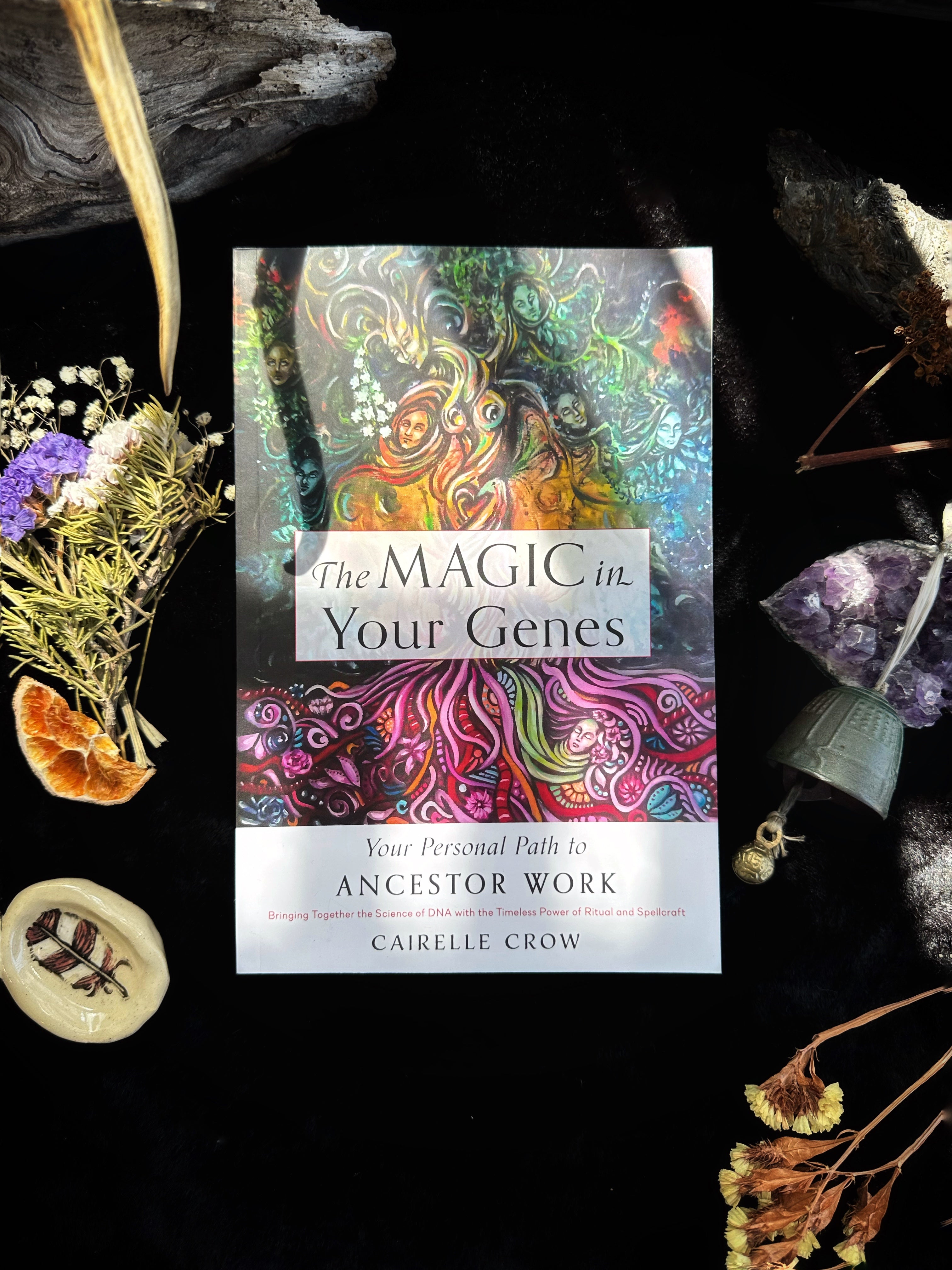 The Magic in Your Genes : Your Personal Path To Ancestor Work