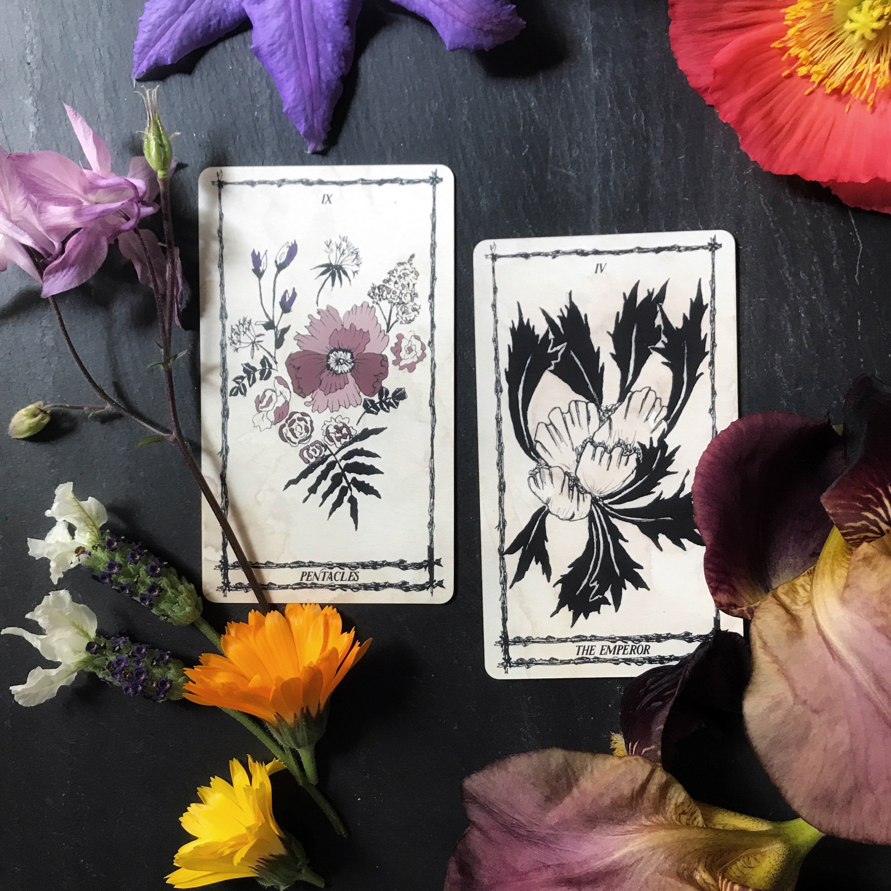 Ophida Rosa Tarot - Keven Craft Rituals