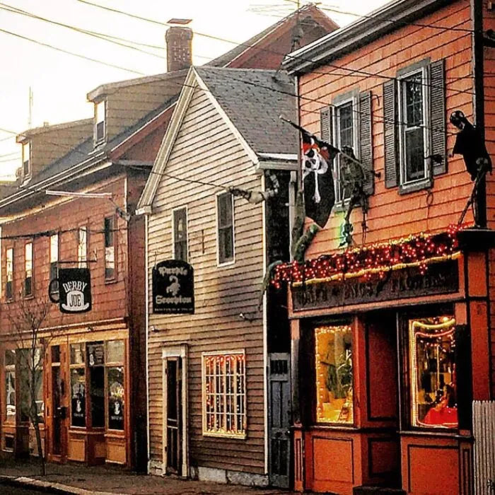 SALEM - REED DIFFUSER, REED DIFFUSER -- Vetiver, Clove, Patchouli & Cinnamon -- by Moon Water Apothecary!