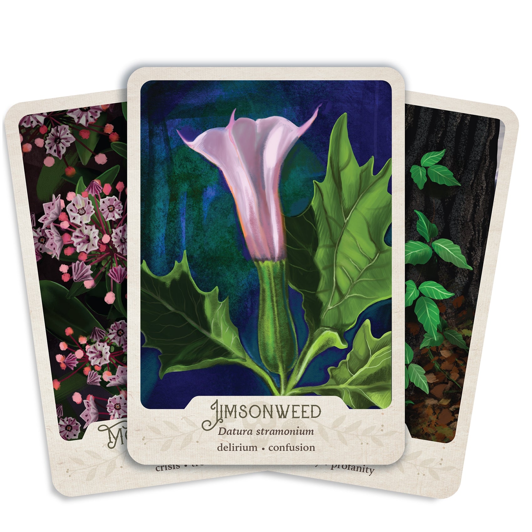 The Southern Botanic Oracle - w/ or without Poison Plant Expansion Pack