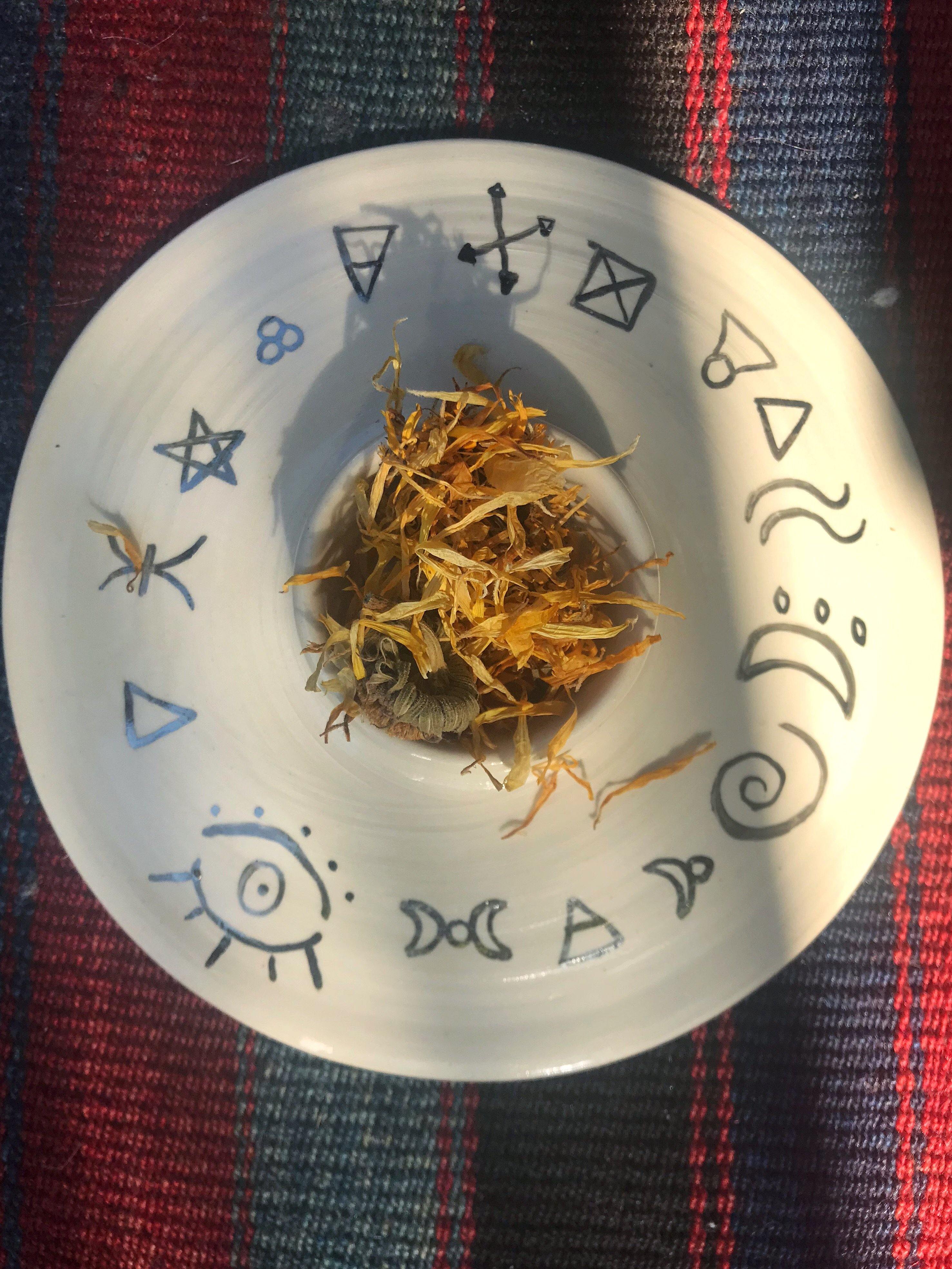 Calendula (Calendula officinalis) - Witching Flowers - Keven Craft Rituals