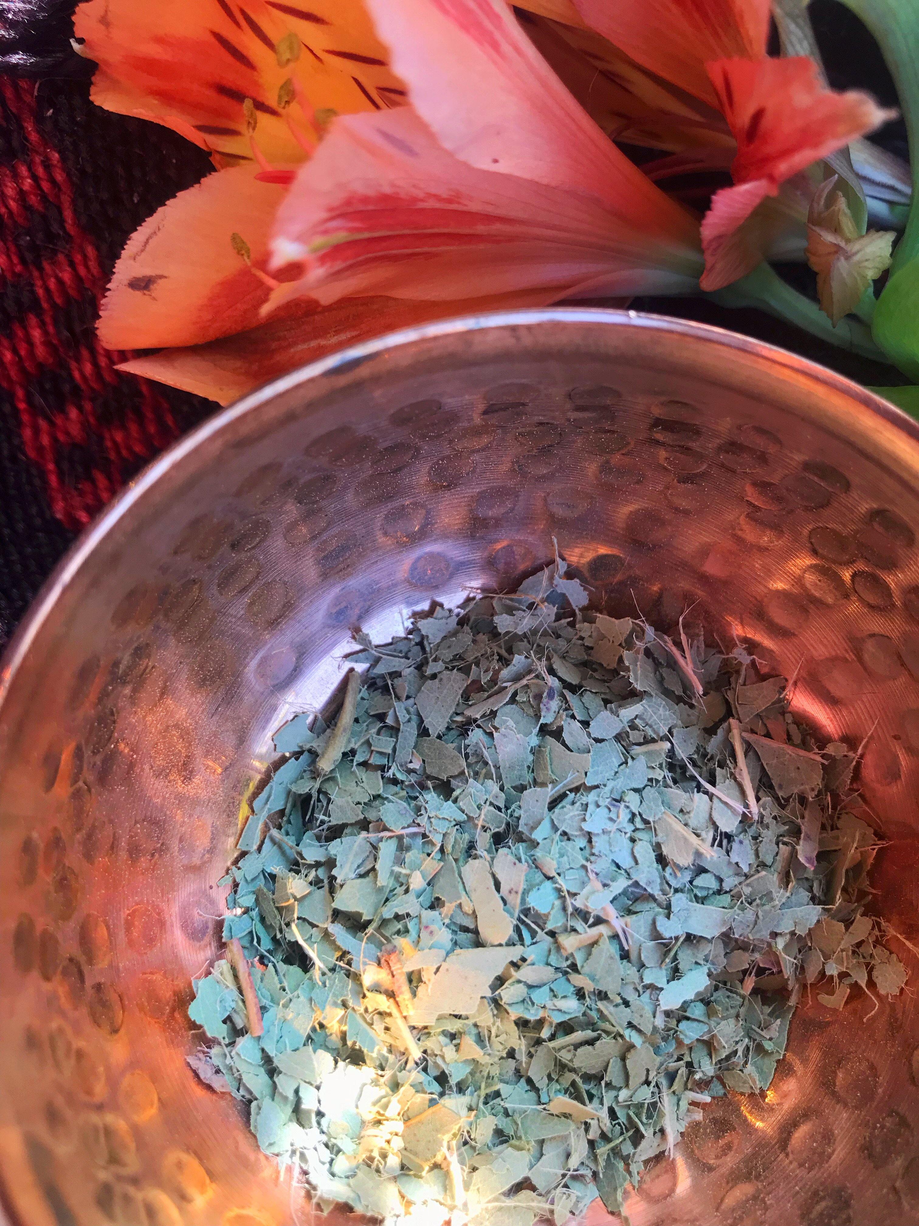 Eucalyptus (Eucalyptus spp. globulus) - Witching Herbs - Keven Craft Rituals