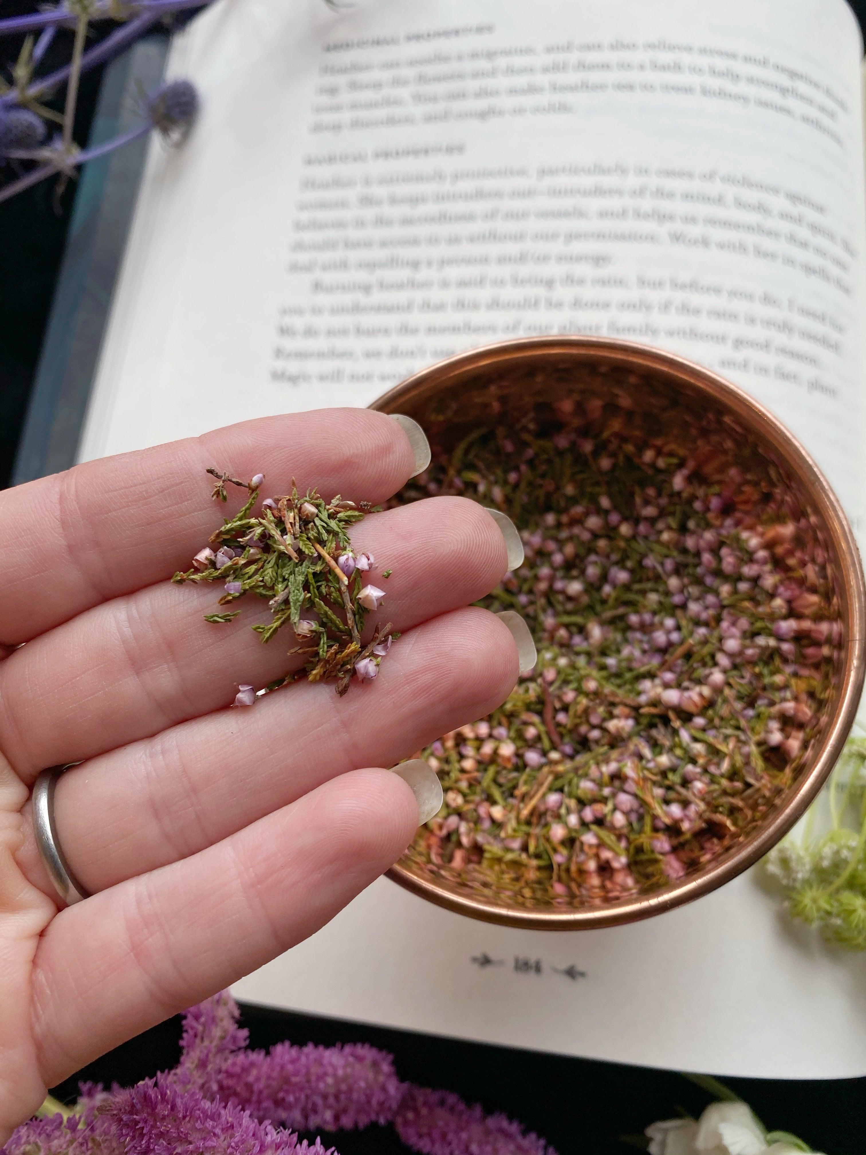 Heather Flowers (calluna vulgaris)- Witching Flowers - Keven Craft Rituals