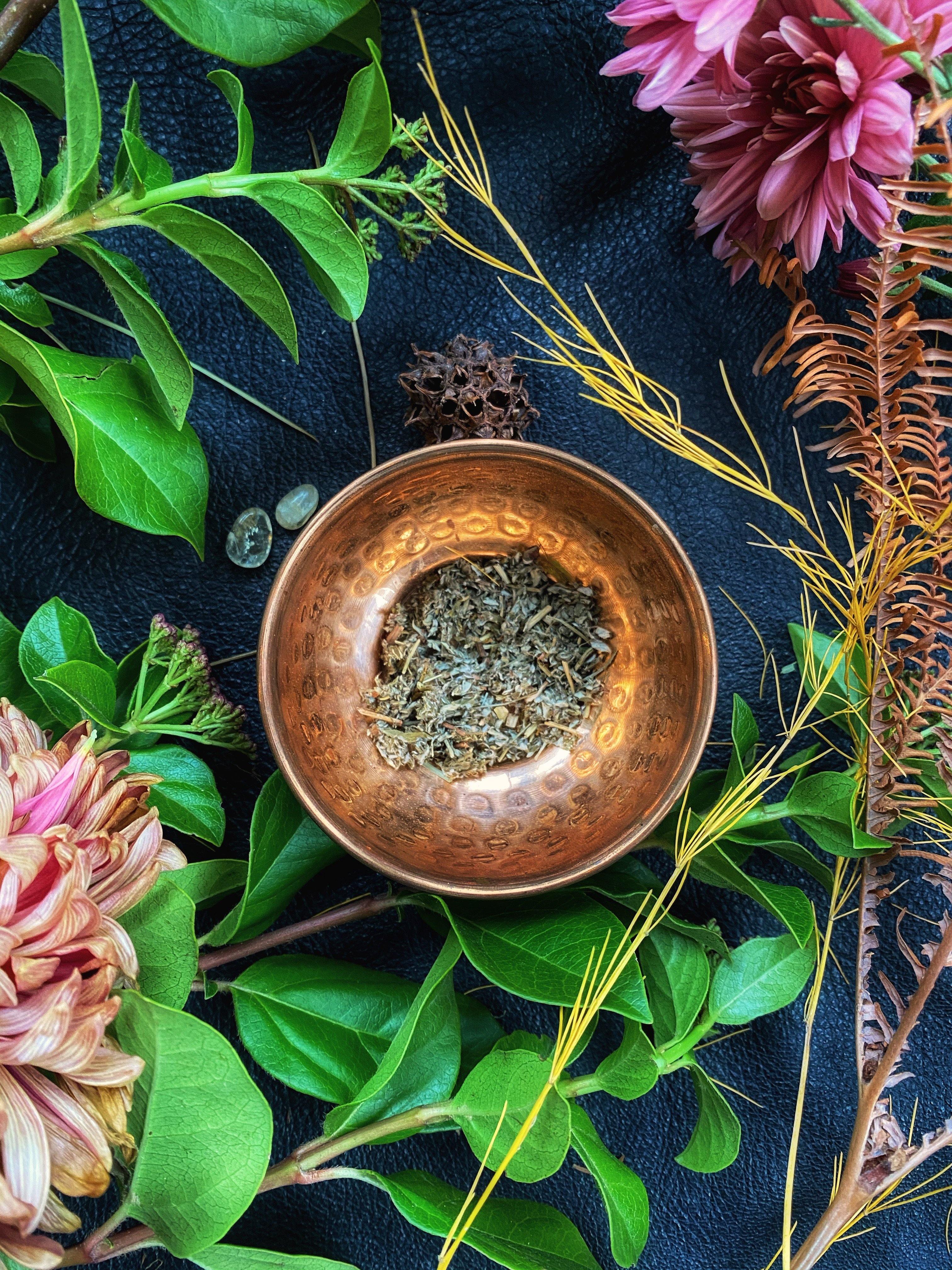 Cinquefoil (Potentilla erecta) - Witching Herbs - qmeb