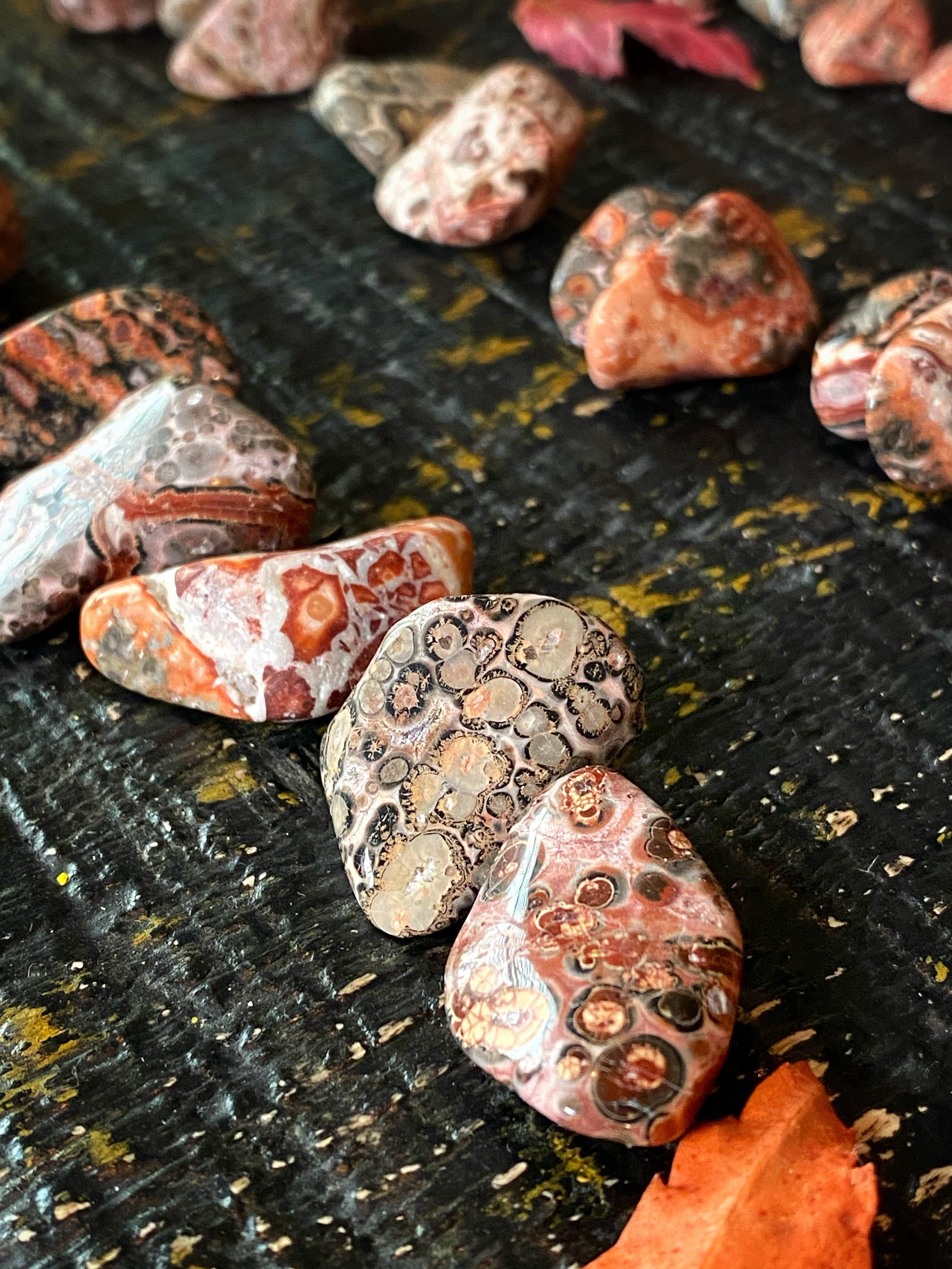 Leopard Skin Jasper - Tumbled - qmeb