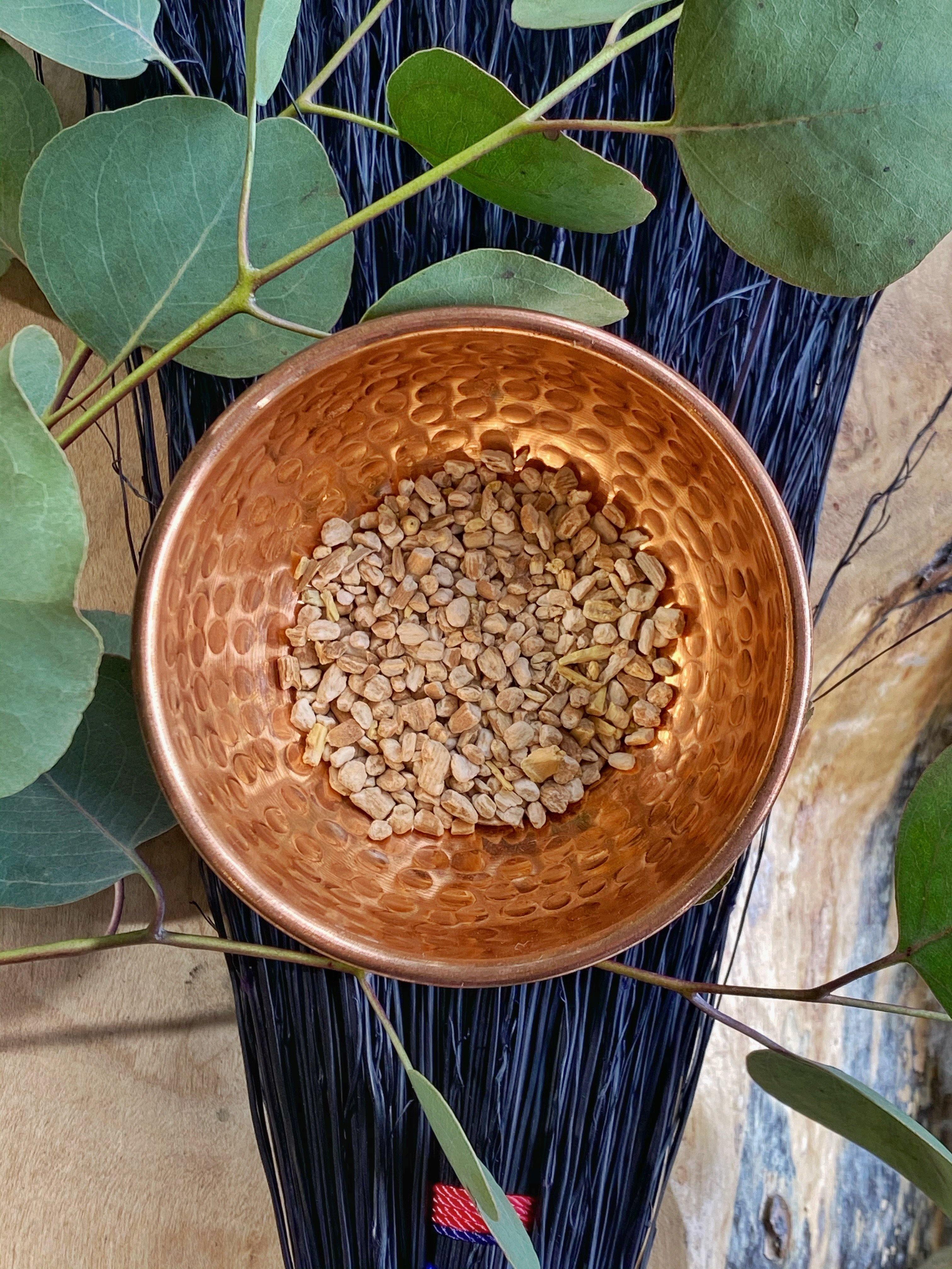 Poke Root (Phytolacca americana) - Witching Roots - qmeb