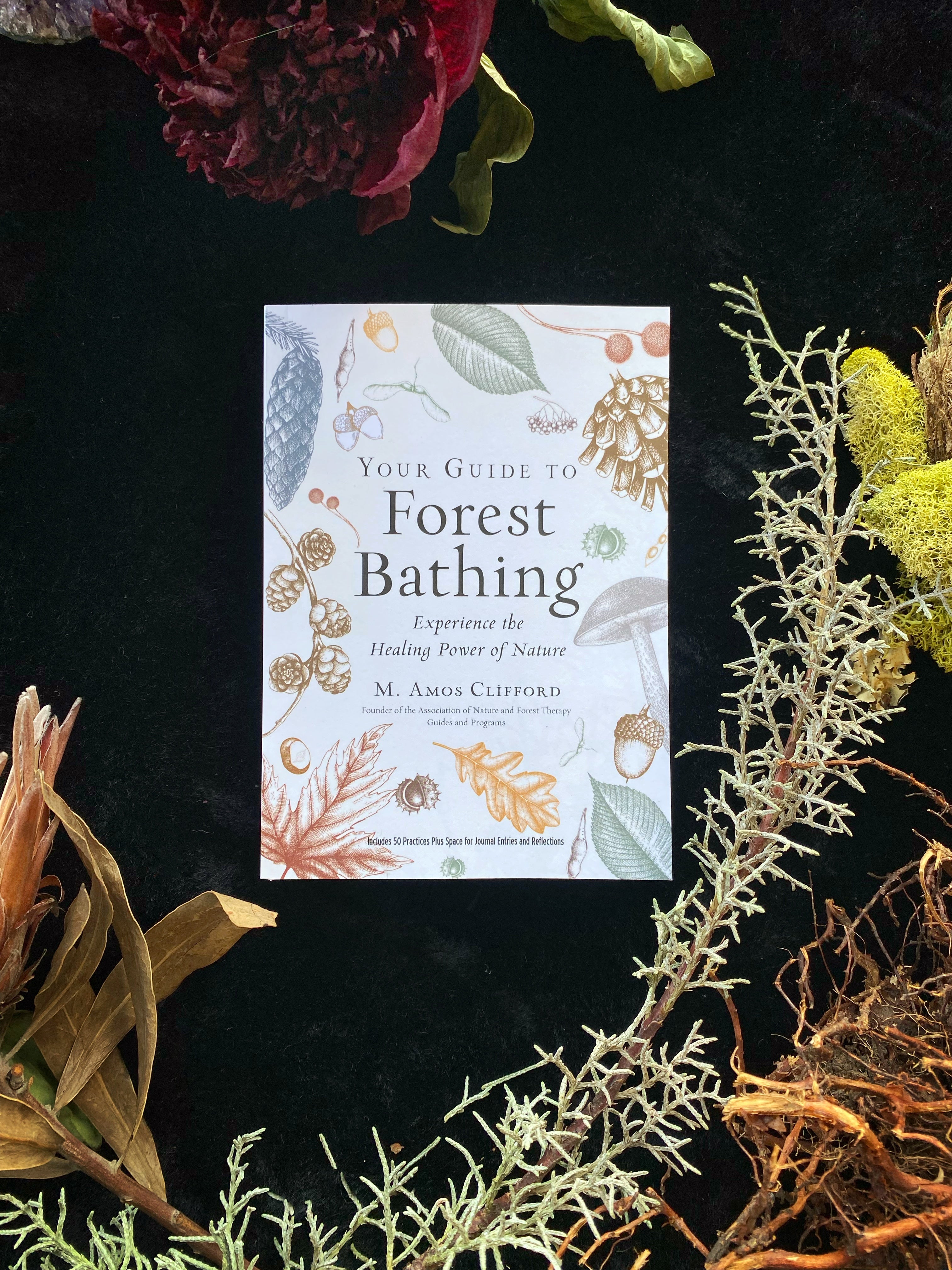 Your Guide to Forest Bathing (Expanded Edition)