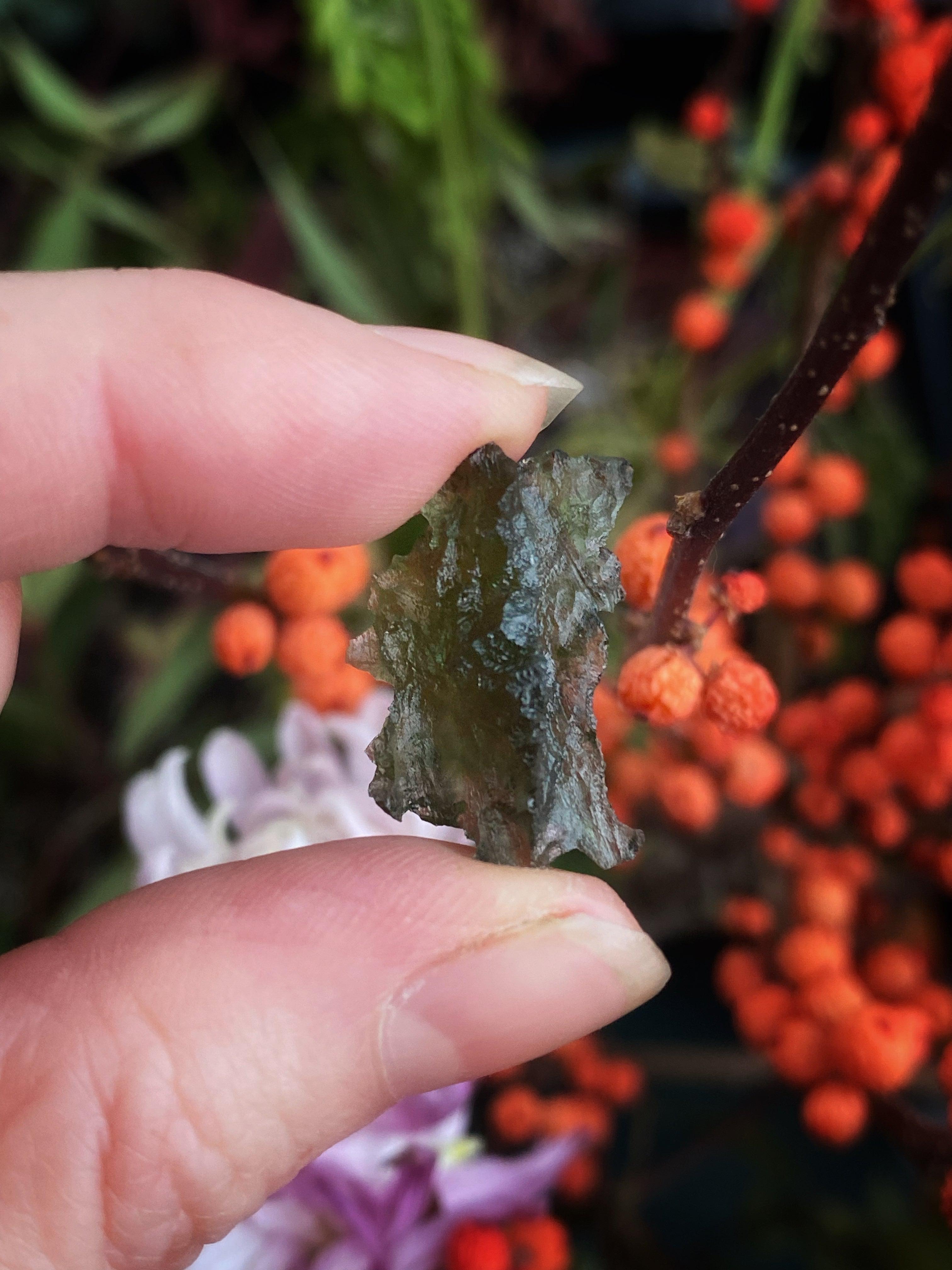 Moldavite Crystals - (Rare) Authentic and Certified Czech - Keven Craft Rituals