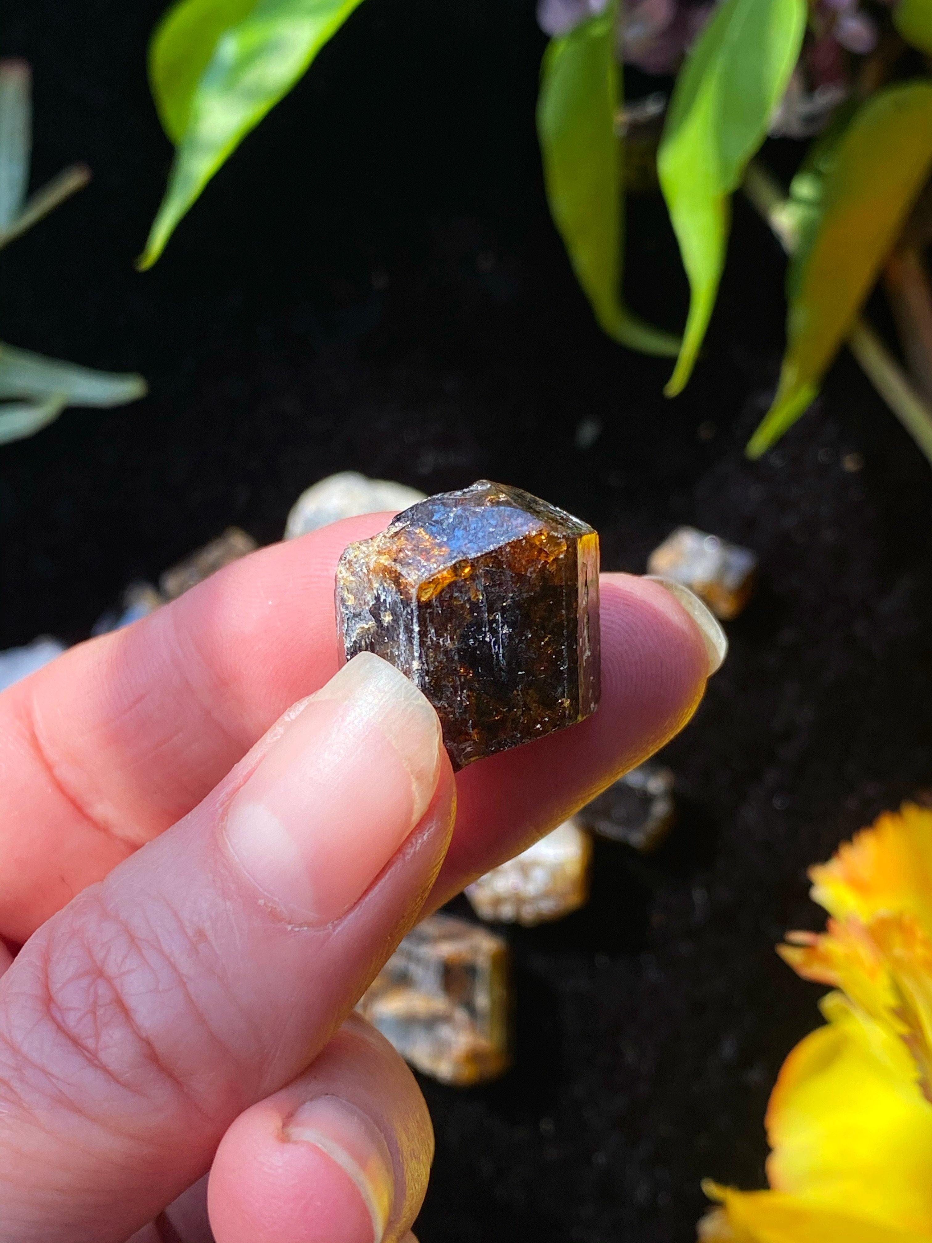 Dravite Brown Tourmaline - Raw w/ Terminations - qmeb